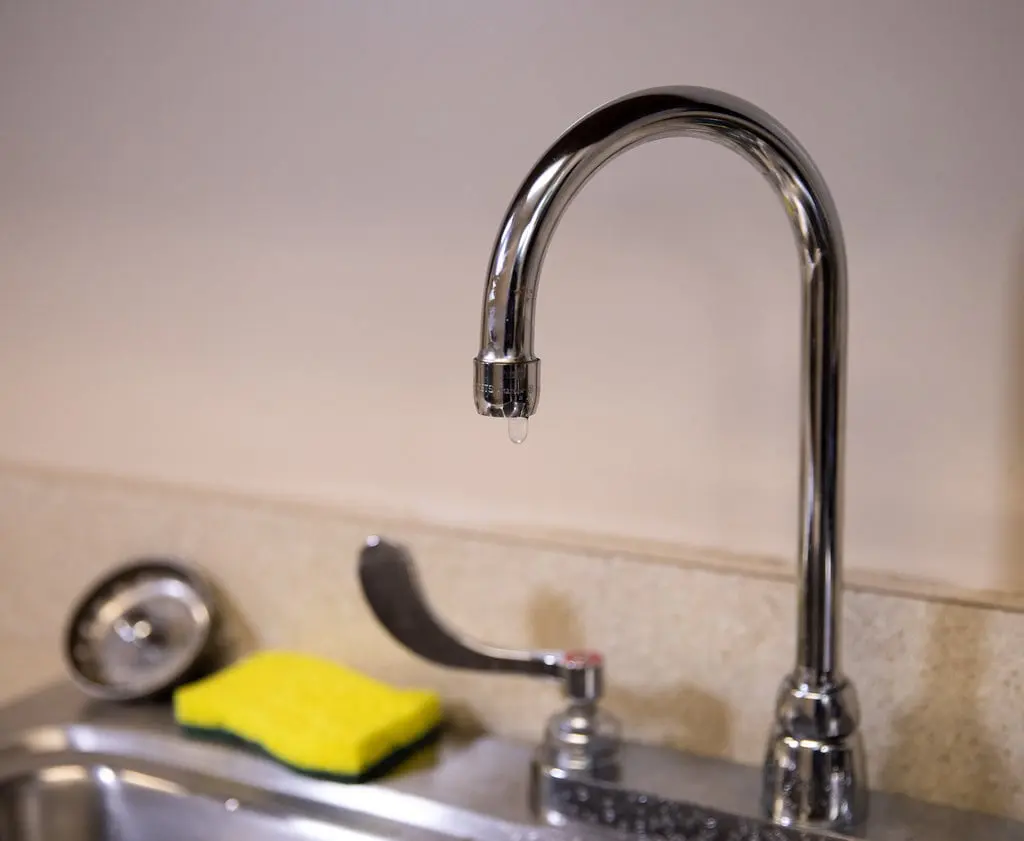 Gooseneck drinking faucet