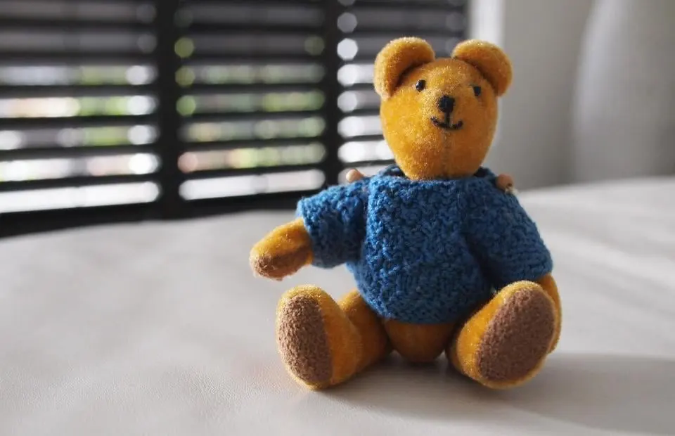 Sweater bear